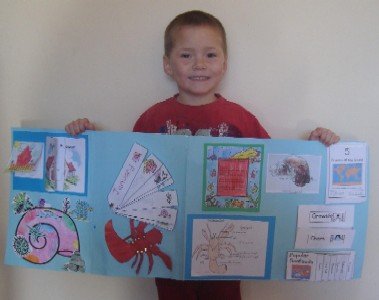 Exploring the Ocean with a Hermit Crab file folder project